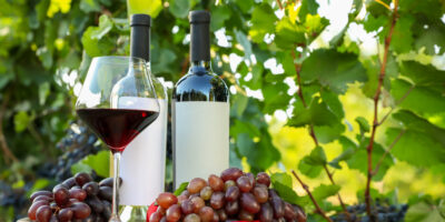 Comment bien conserver et faire vieillir vos bouteilles de vin ?